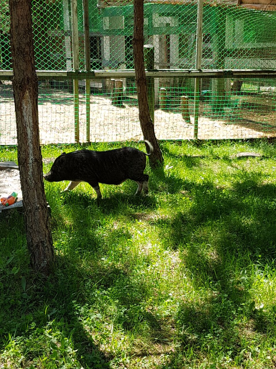 Фото Росстань