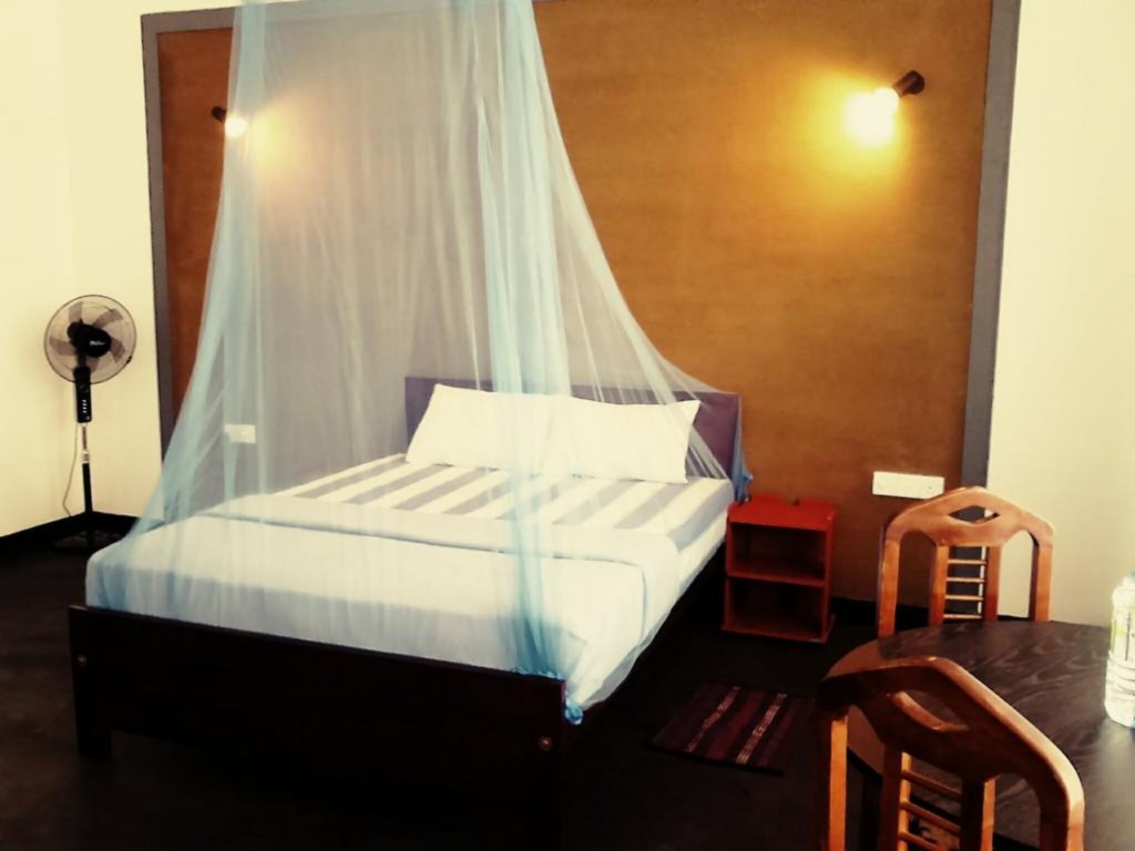 Фото Monarch ella