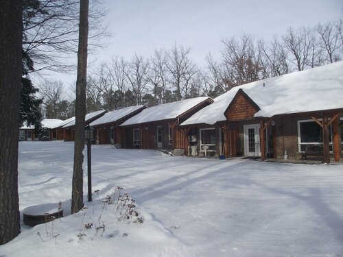 Гостиница Forest Motel & Woodland Retreat