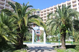 Самшитовая роща