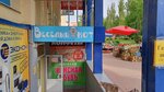 Сайт Магазина Веселый Кот В Орел