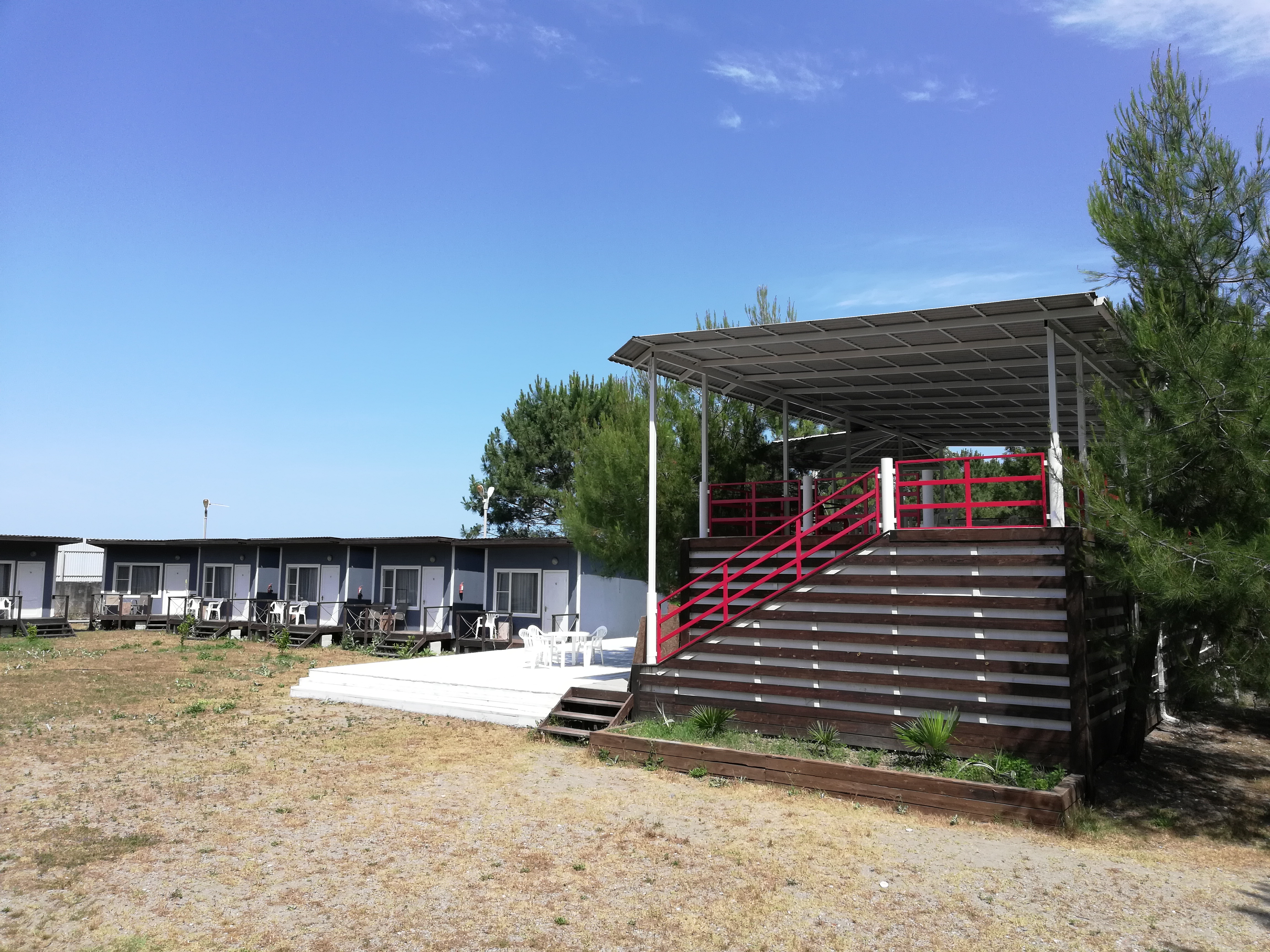 Фото Forest Club