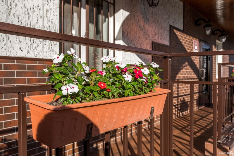 Фото Браво Люкс