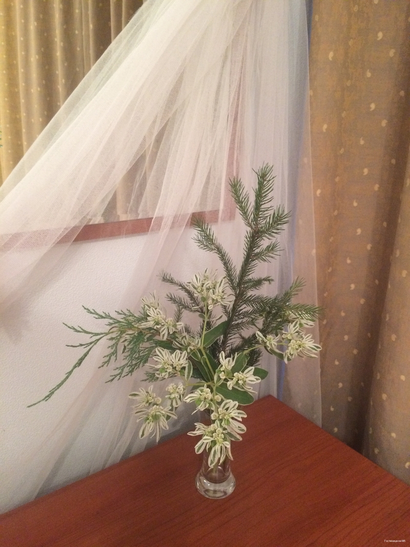 Фото Гостиница на М5