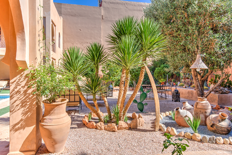 Фото Riad Janoub