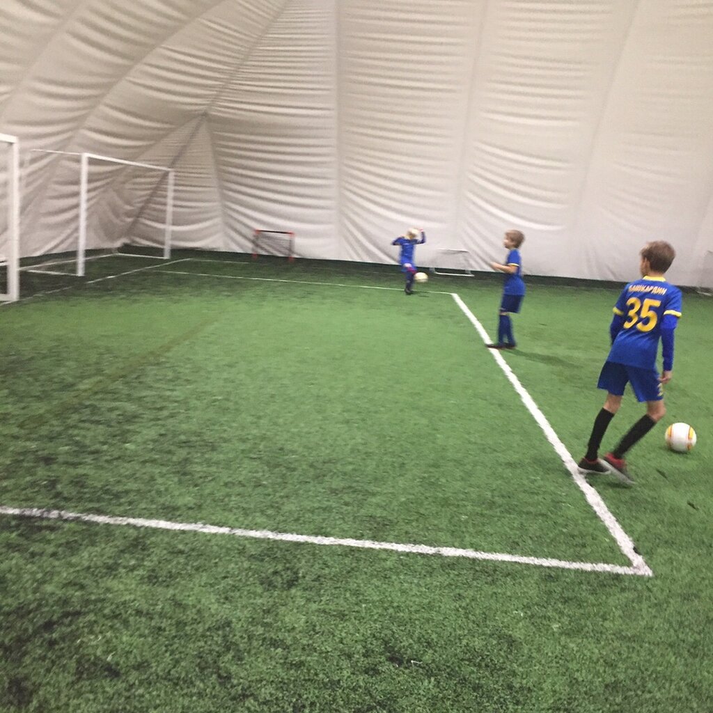 Арена спорт строй паркет