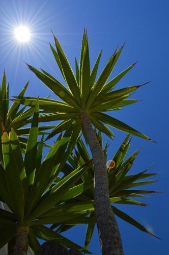 Фото Plastiras Rooms