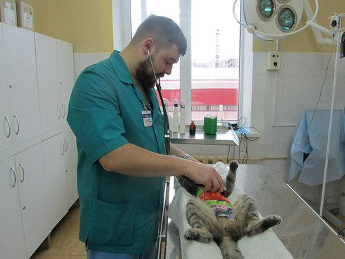 Ветеринарная станция Московского района г. Минска, ветеринарная клиника ...