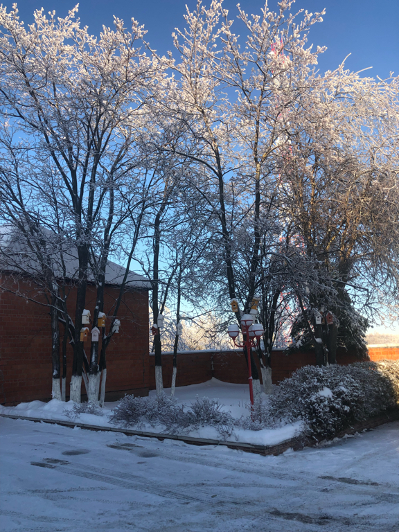 Фото Мотель Илевники