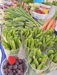 Leto Seeds (Pushkinskaya Street, 241), mejoramiento y producción de semillas