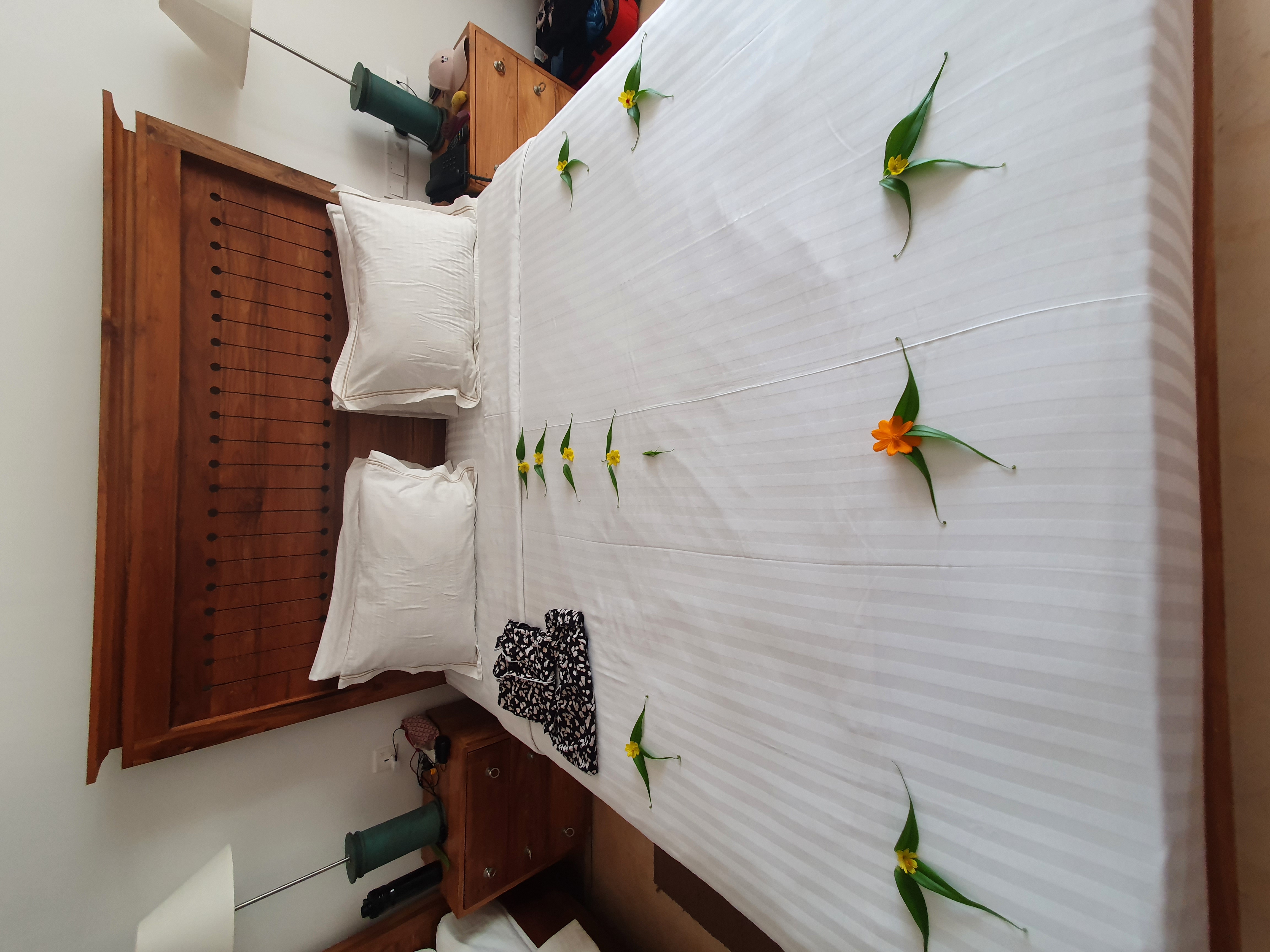 Фото Lucky Elephant