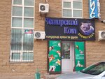 Cheshirskiy Kot (Sáken Seıfýllın kóshesi, 5), tienda de animales