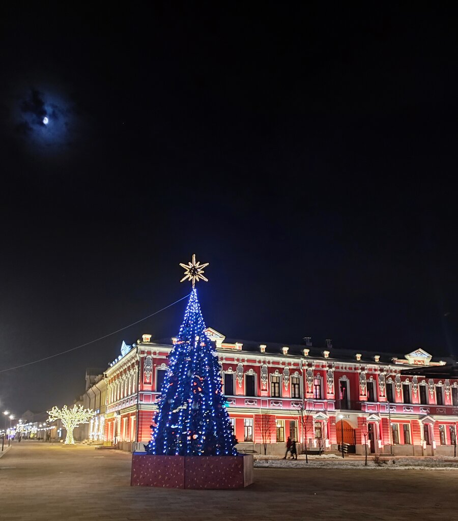Landmark, attraction Дом Темятовой, Tula, photo