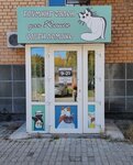 Grooming salon for cats (Ostrovskogo Street, 42), pet salon