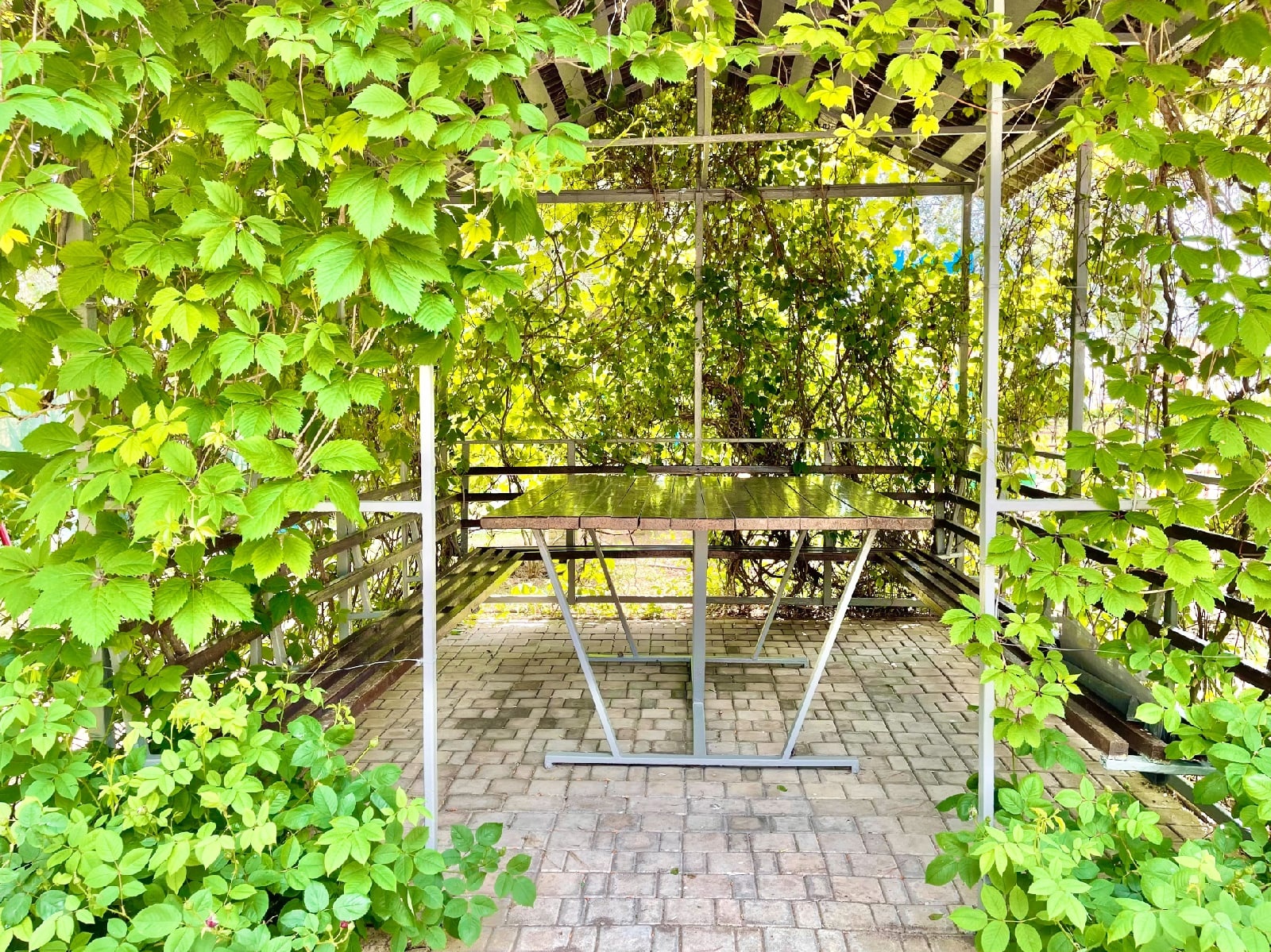 Фото Вилла Каламит