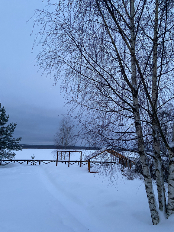 Фото Волга-Волга