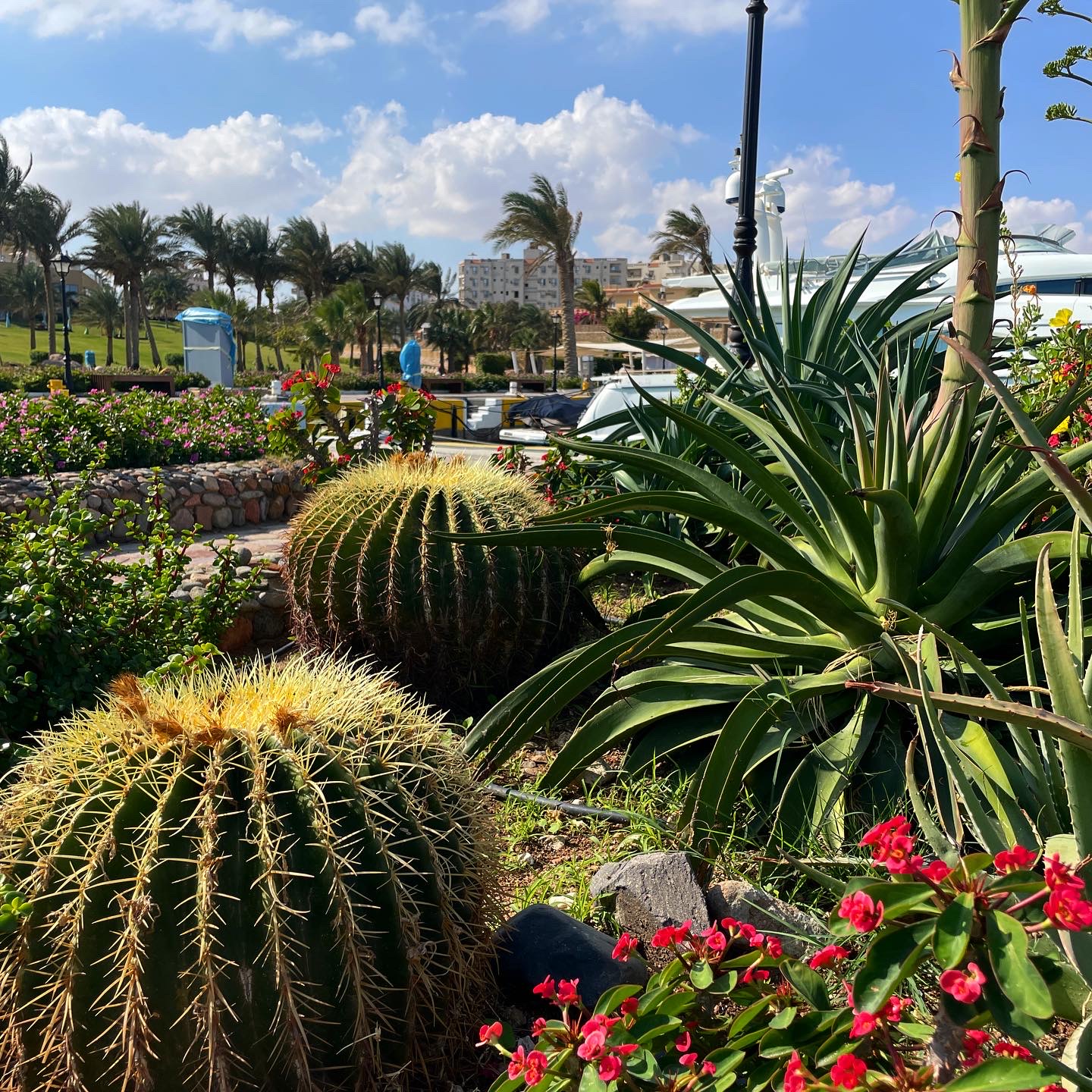 Фото Hilton Hurghada Plaza