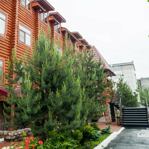 Гостиница Белка в Южно-Сахалинске