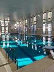 Time To Swim (Butlerova Street, 44), sports club