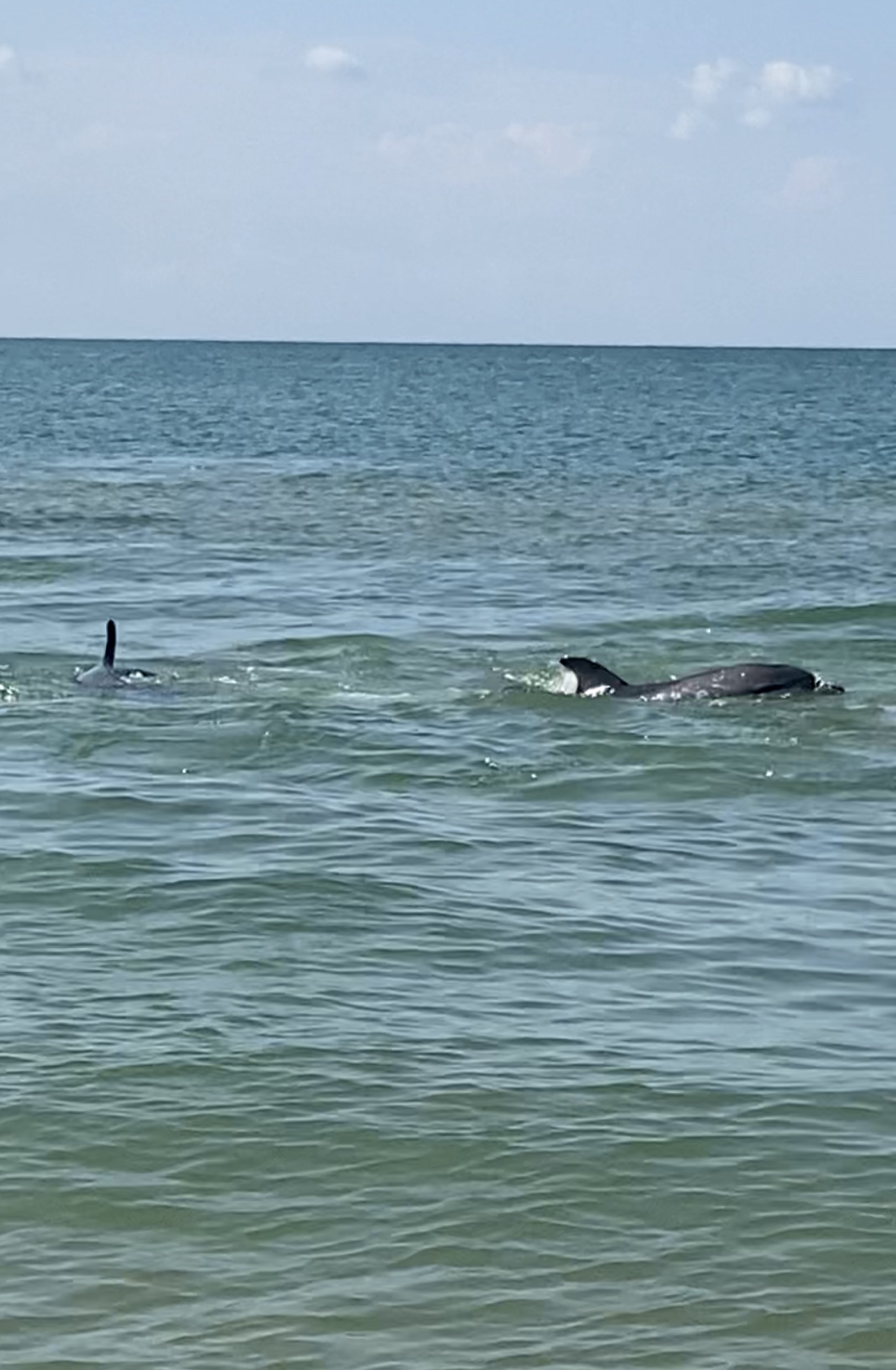 Фото Гостевой дом Тургенева 188