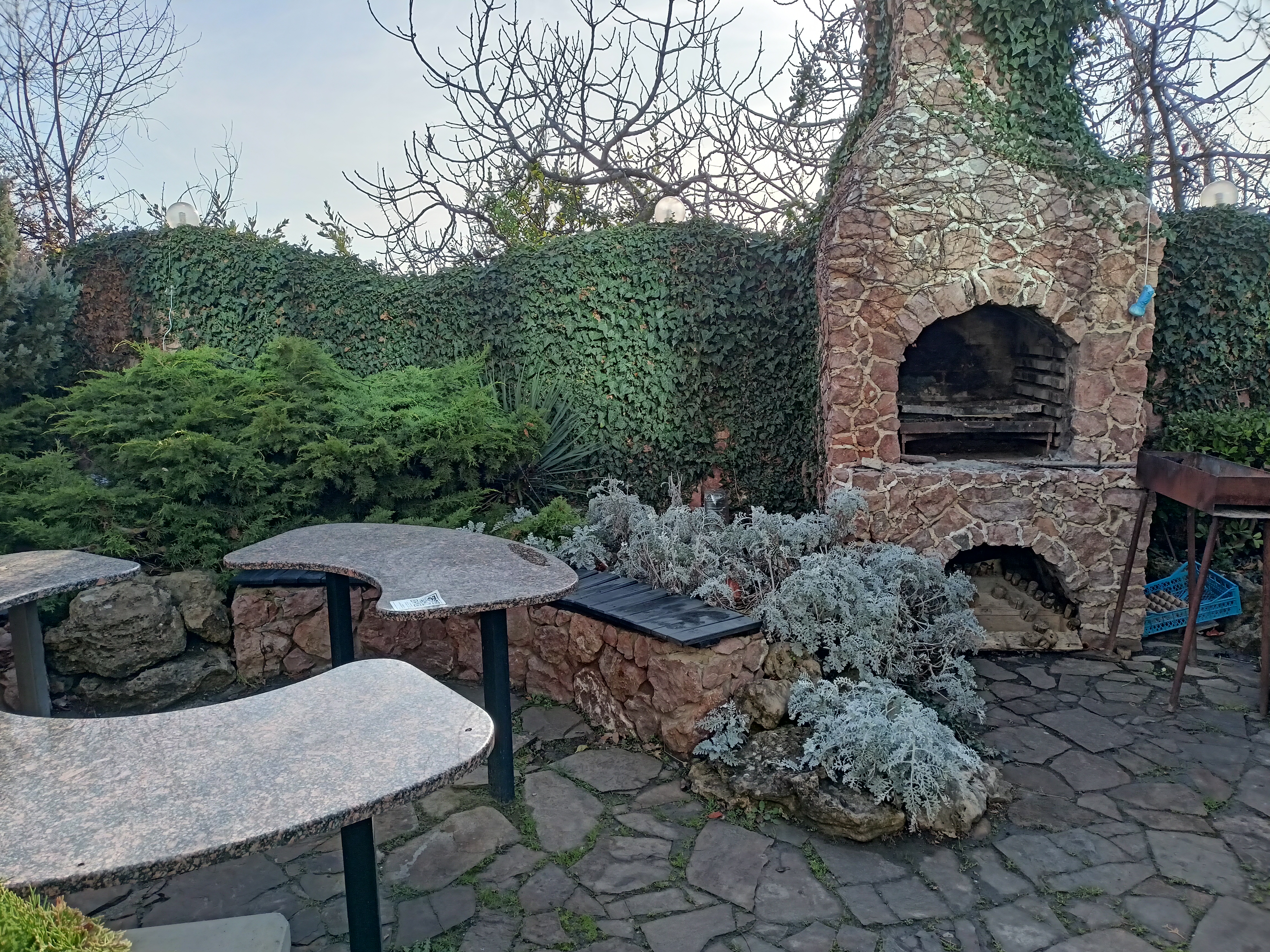 Фото Маджестик