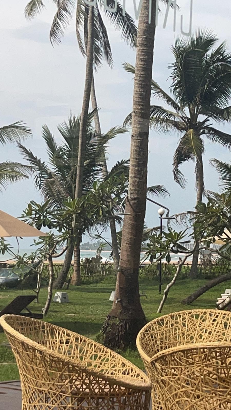 Фото Shinagawa Beach