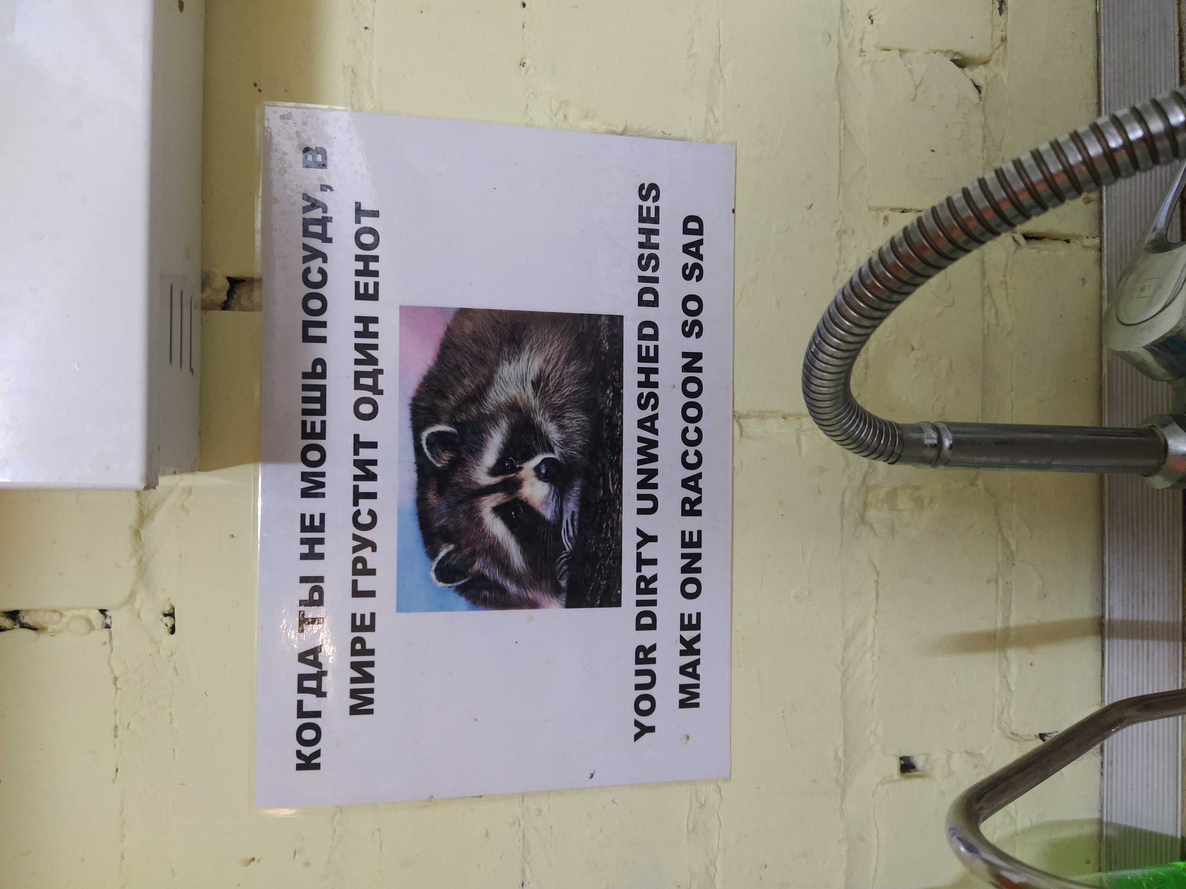 Фото АйДи Хостел