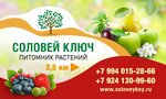 Соловей ключ (33, СНТ Ручеёк-1), питомник растений в Приморском крае