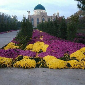 Keksa erkaklarning shaxsiy porno fotosuratlari