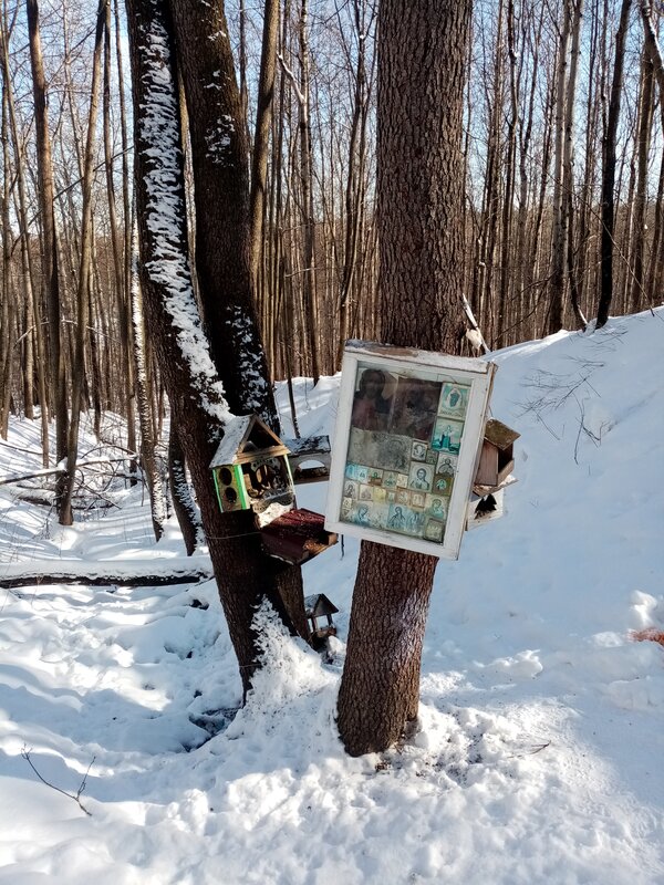 Natsistlar vahshiylik porno