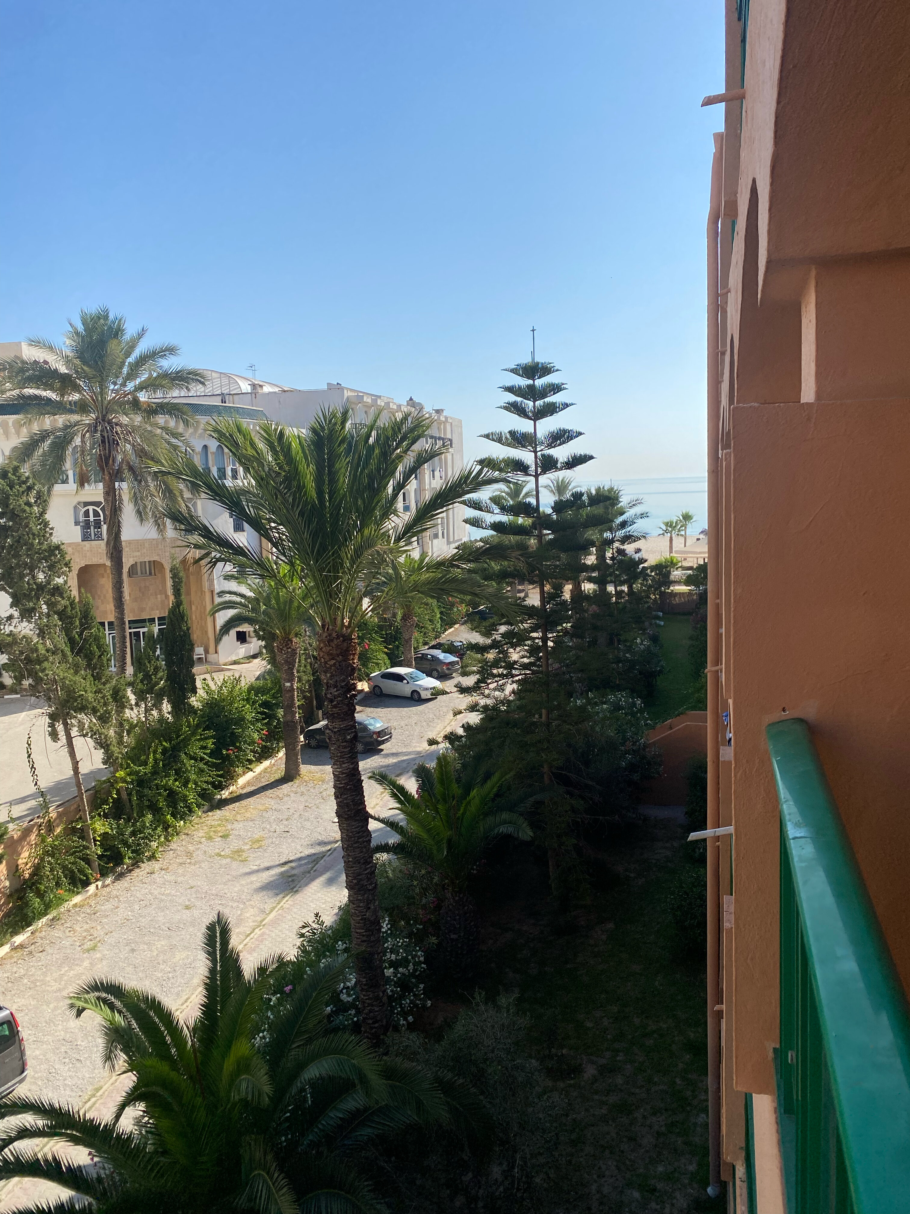 Фото Marabout