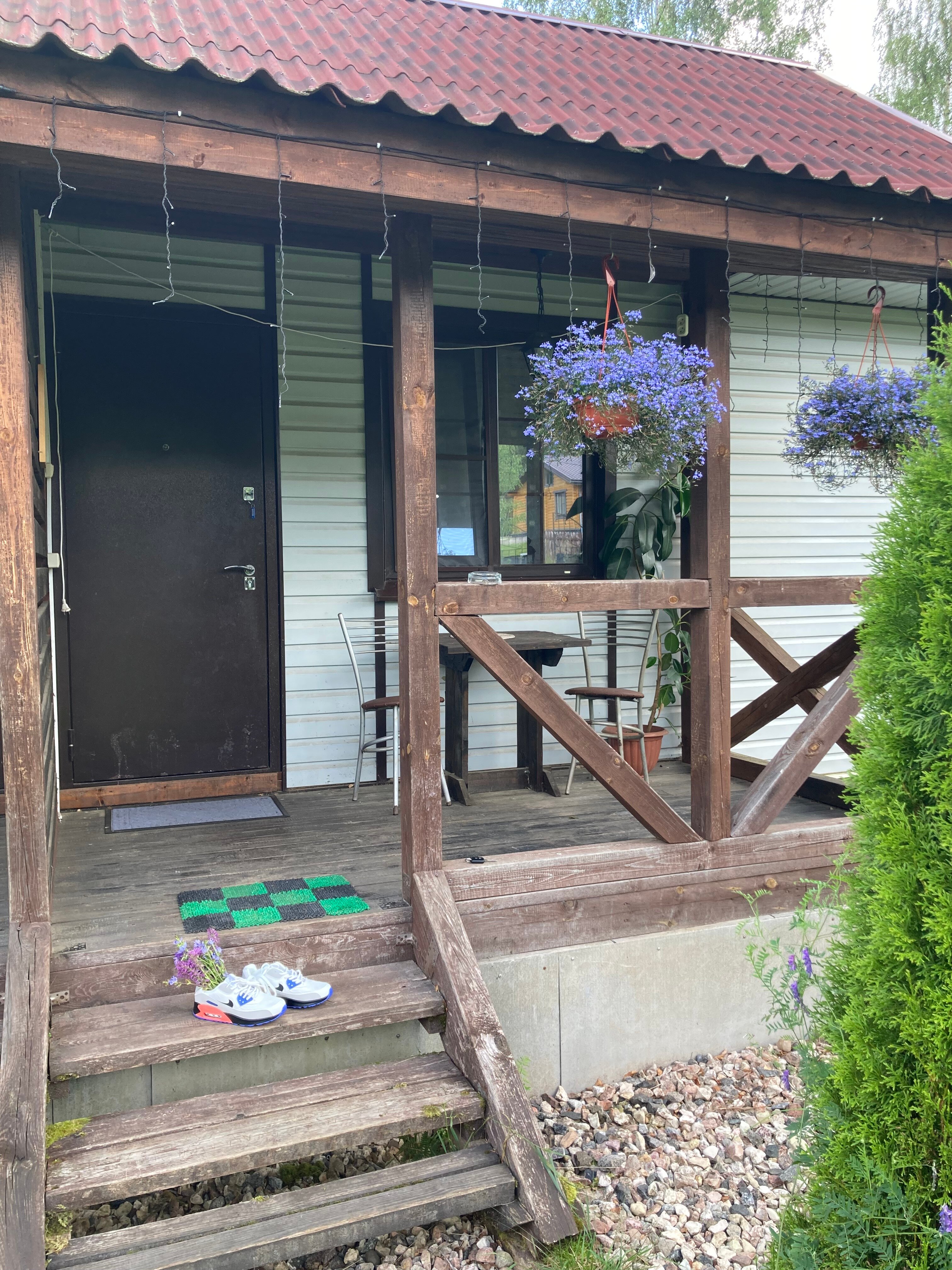 Фото Сосновая роща