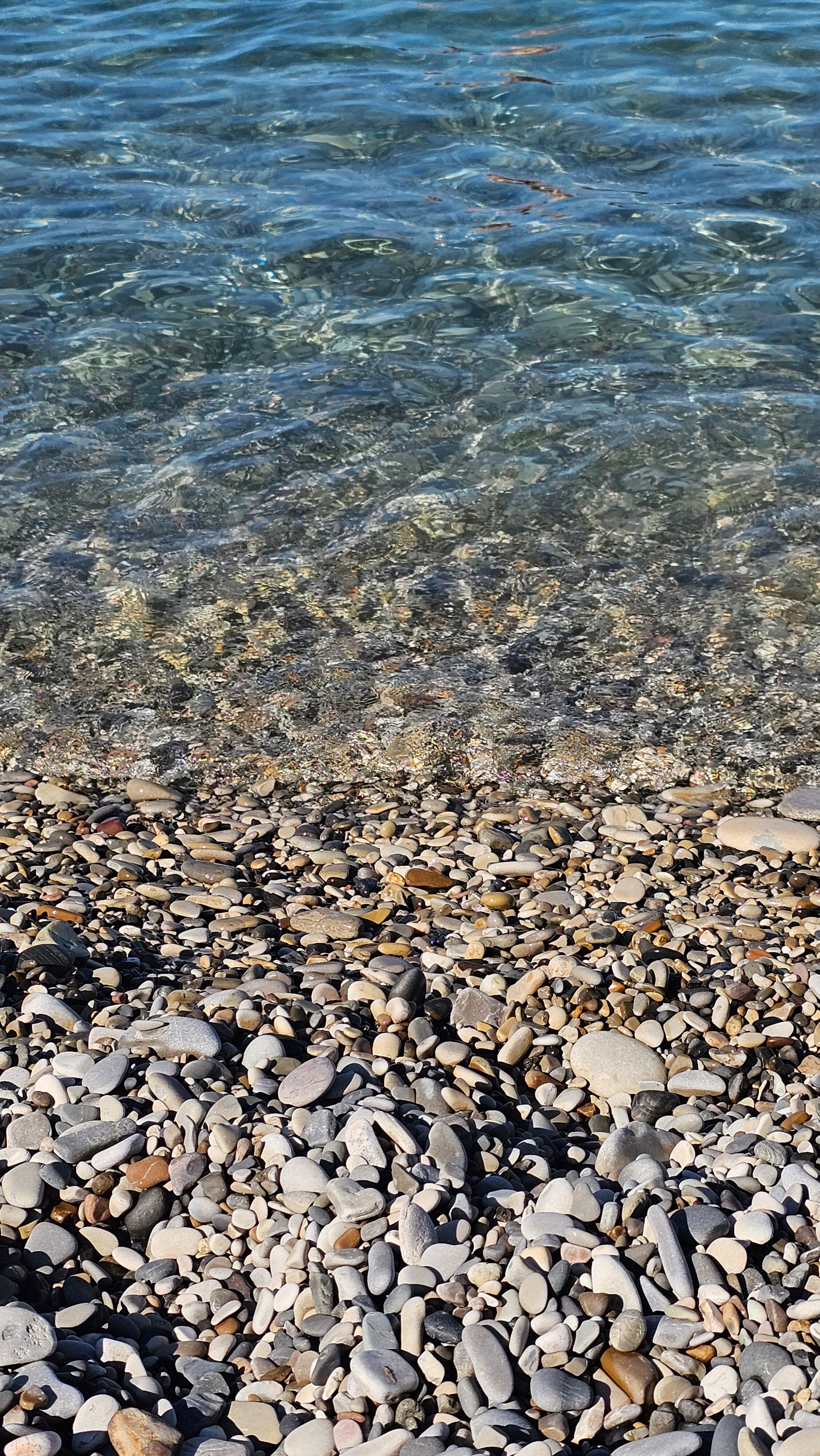 Фото Домик туриста