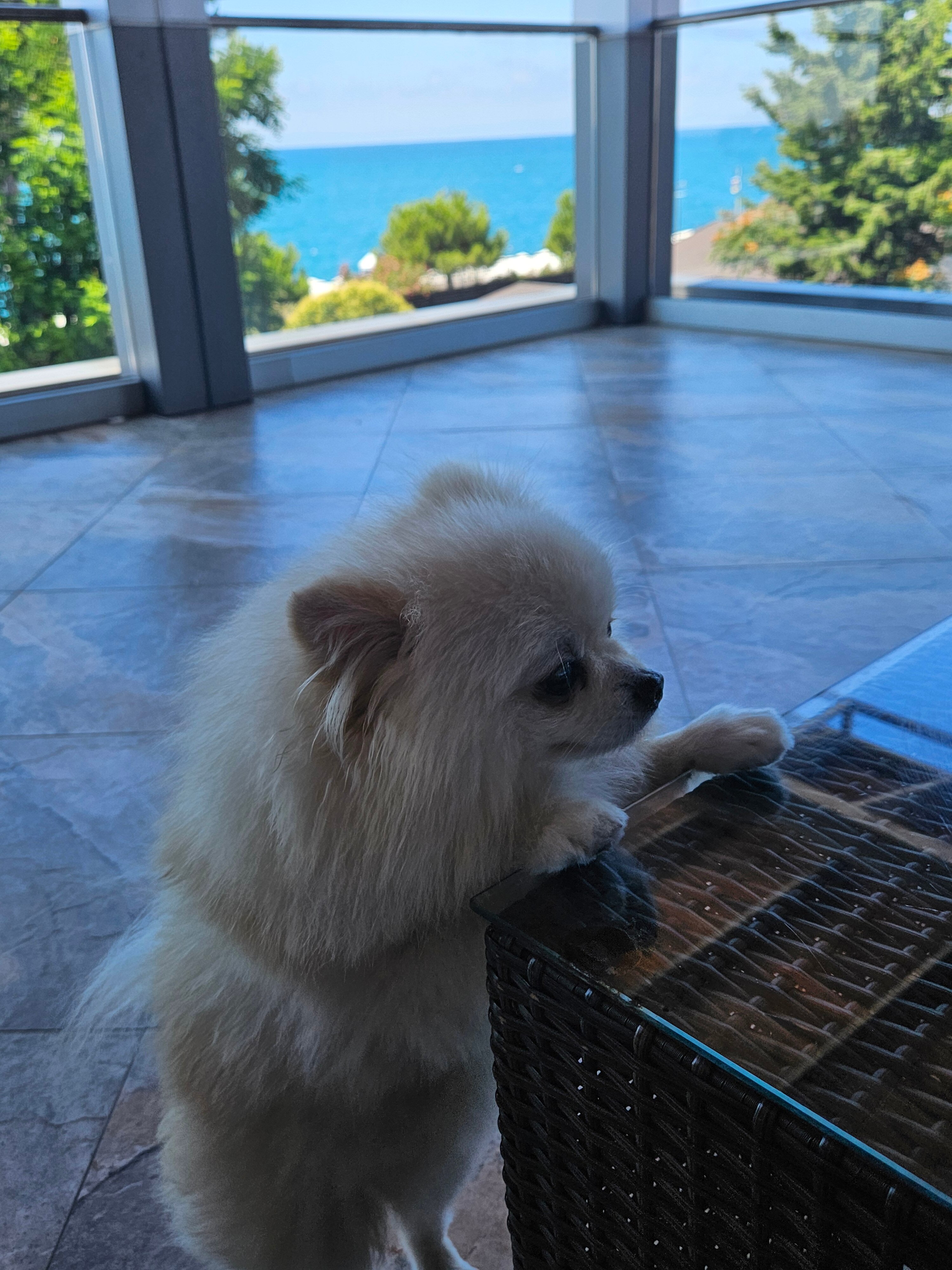 Фото Олимп Первая Линия