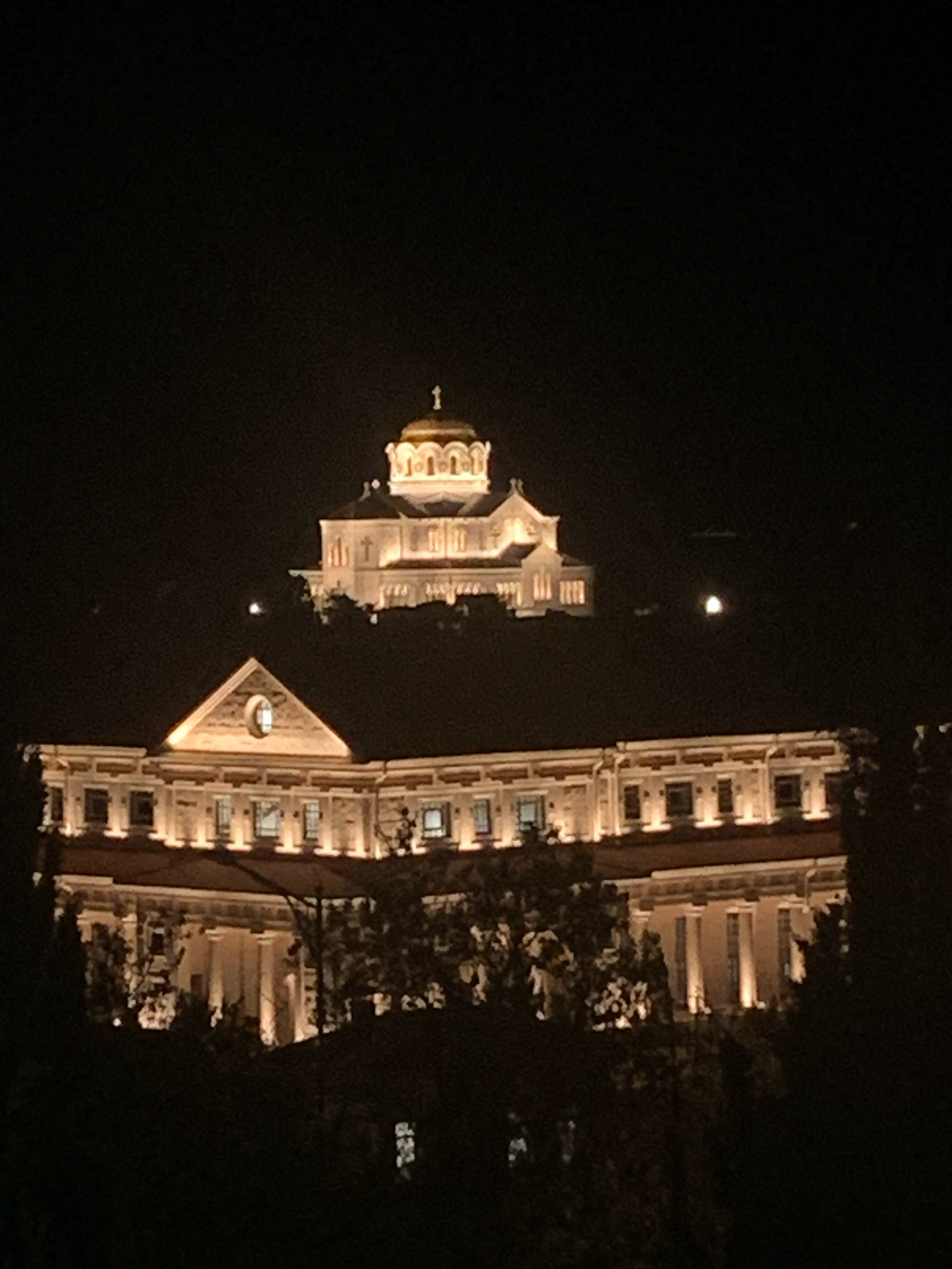 Фото Дельфин