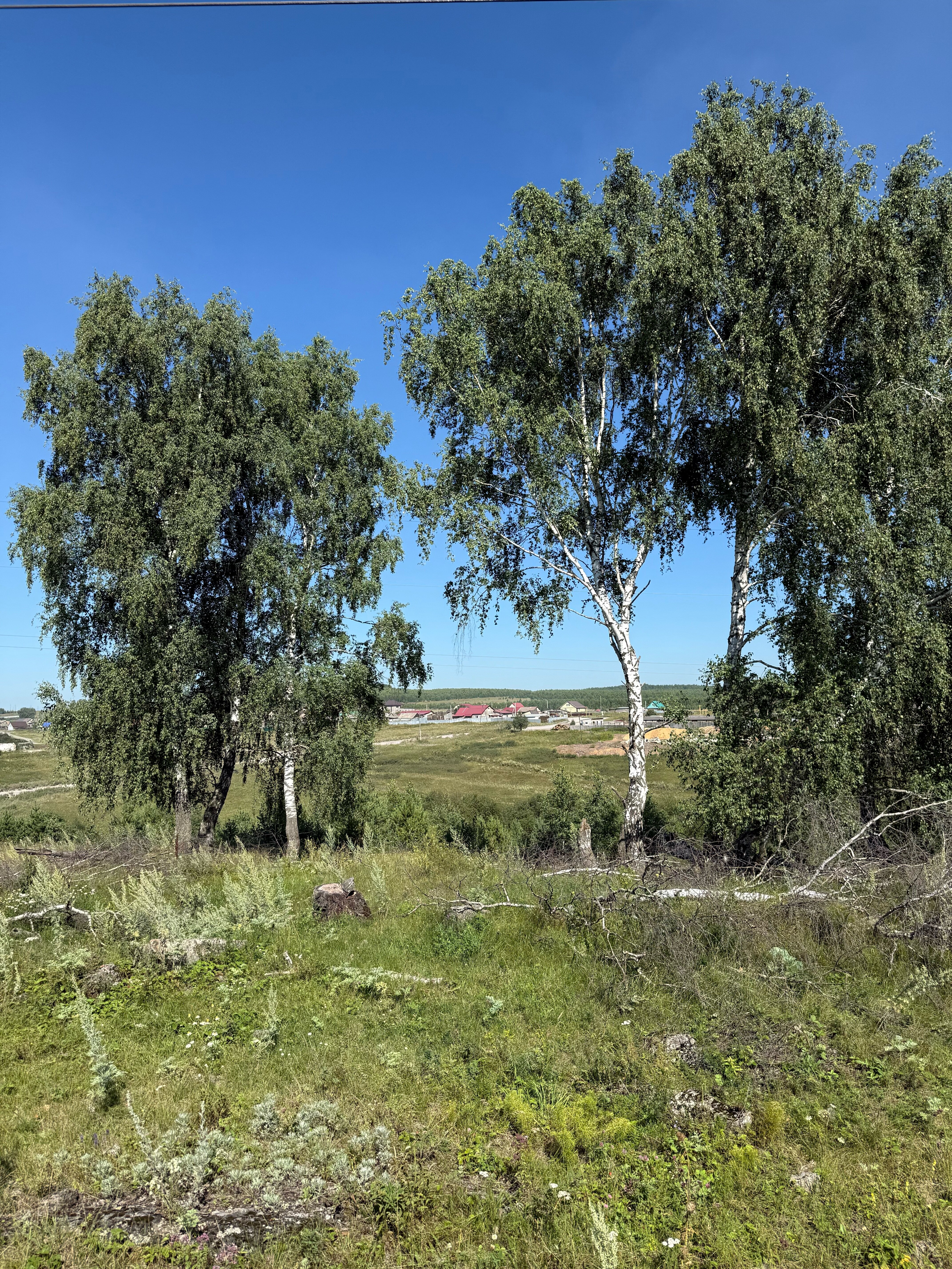 Фото СтоДорог