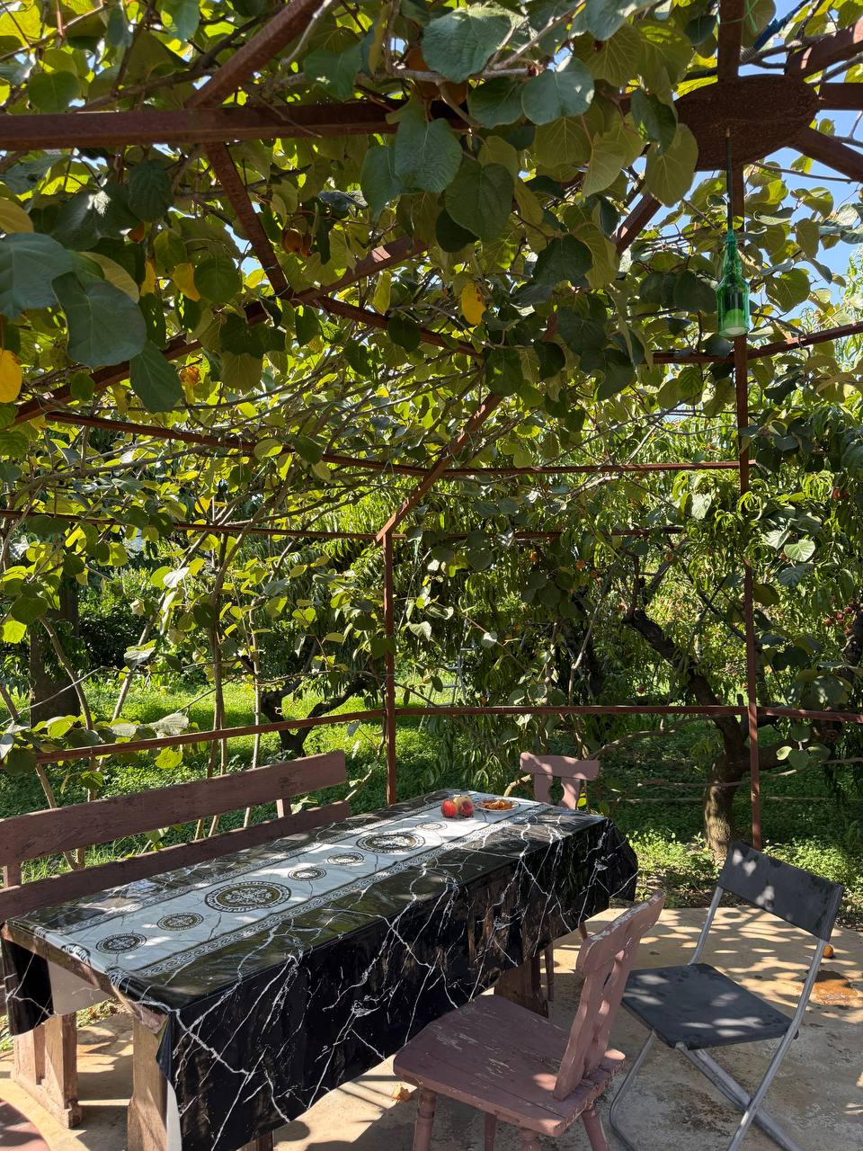 Фото Гостевой дом Алахадзы