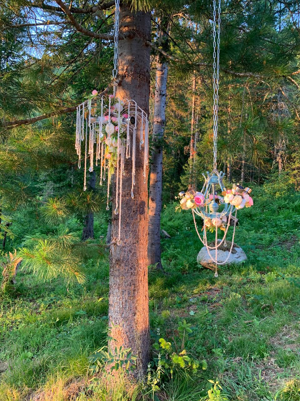 Фото У Петровича