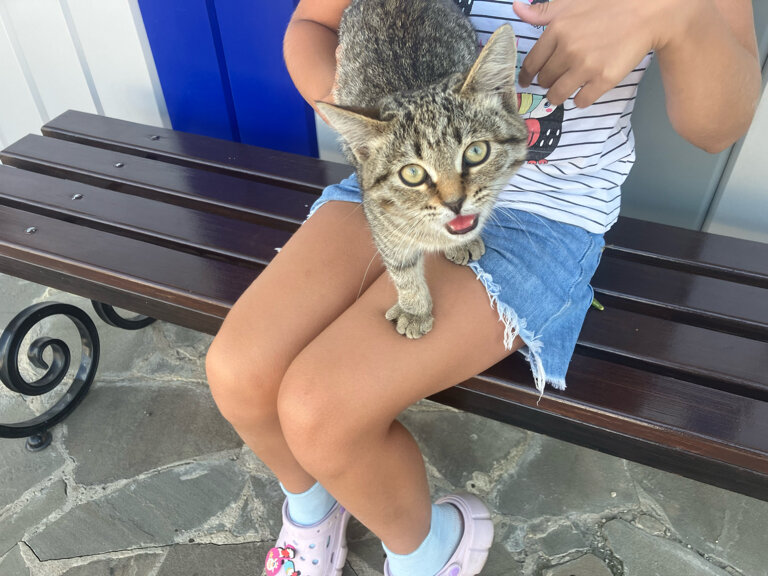 Фото Пол&Пути