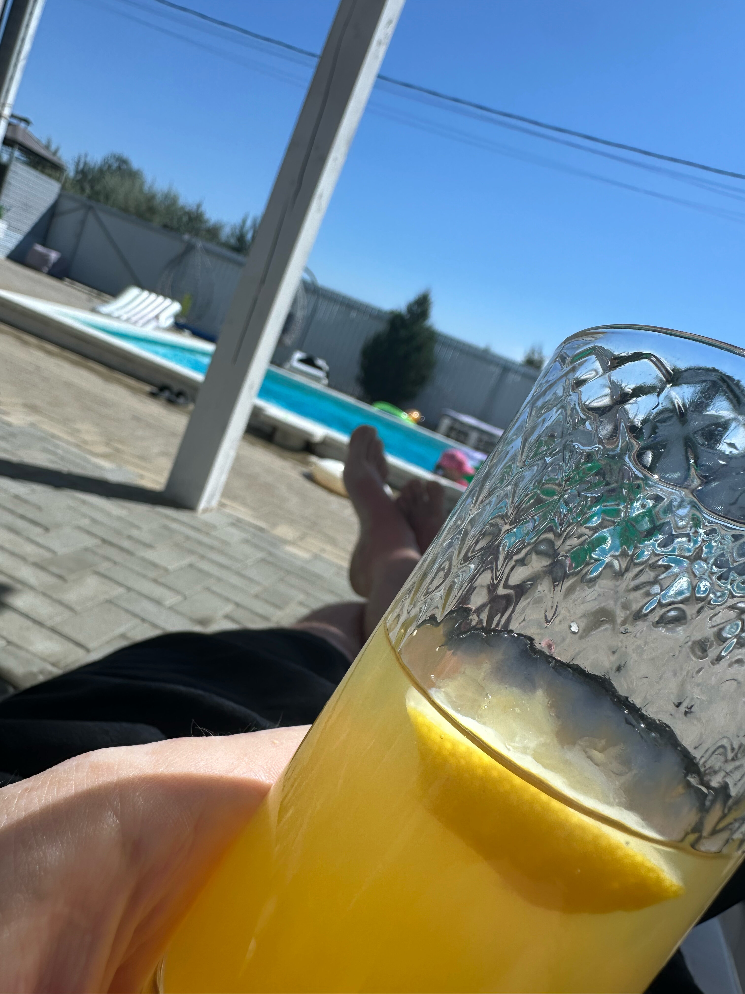 Фото Азовская чайка