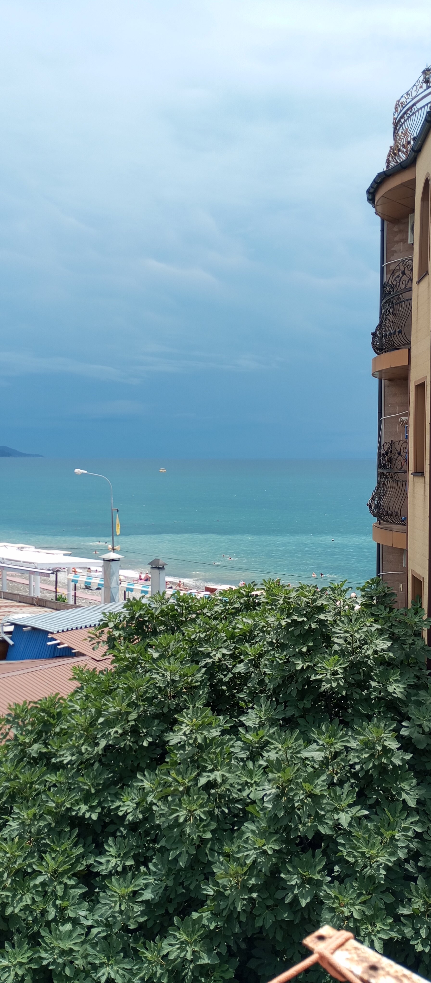 Фото Эллинг 80