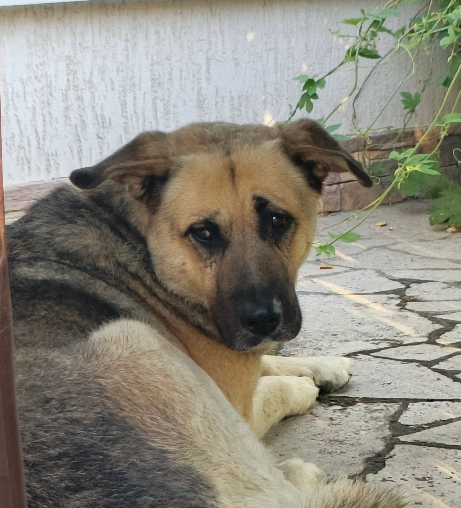 Фото Дом у моря