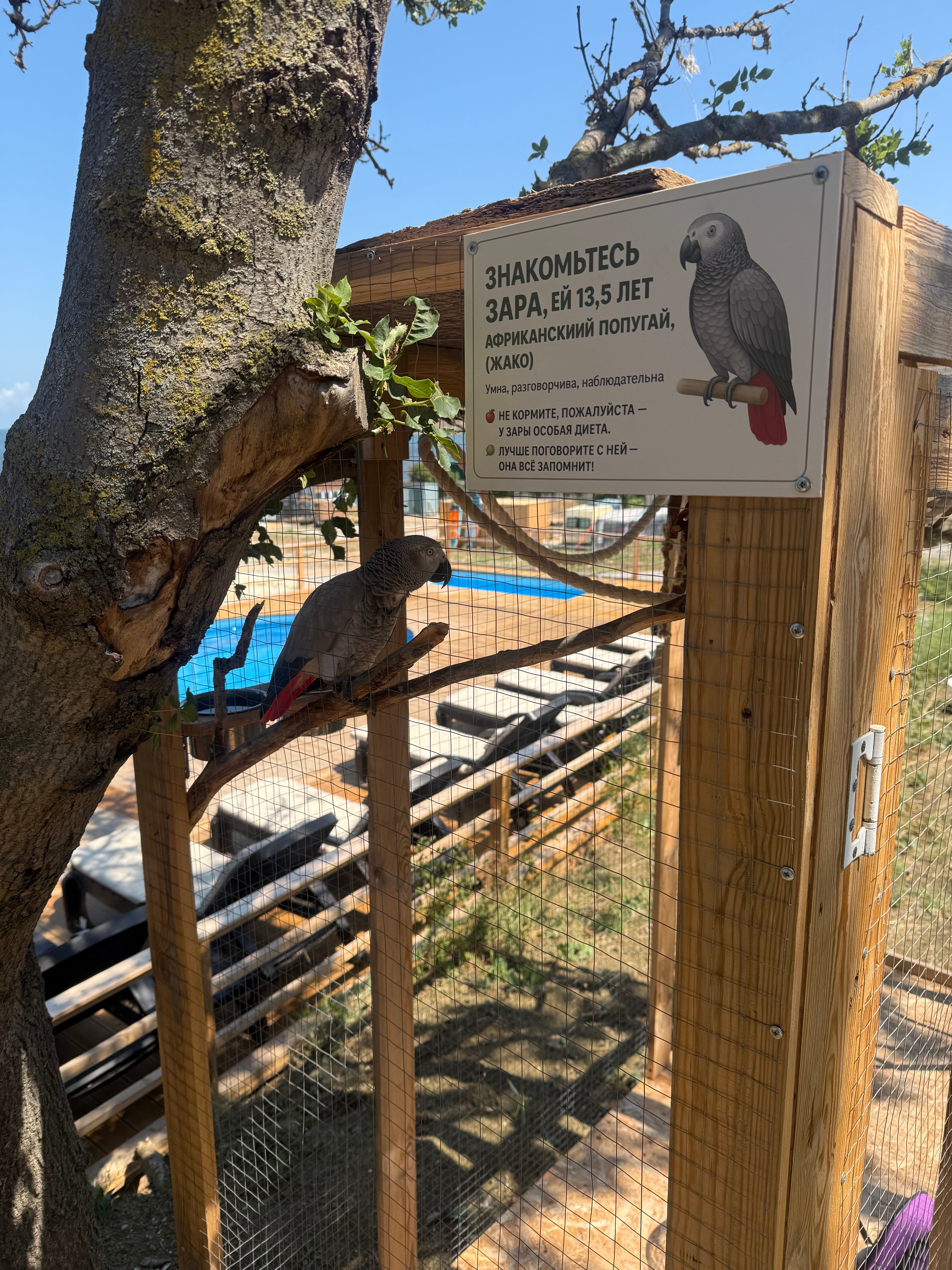 Фото Зона Комфорта