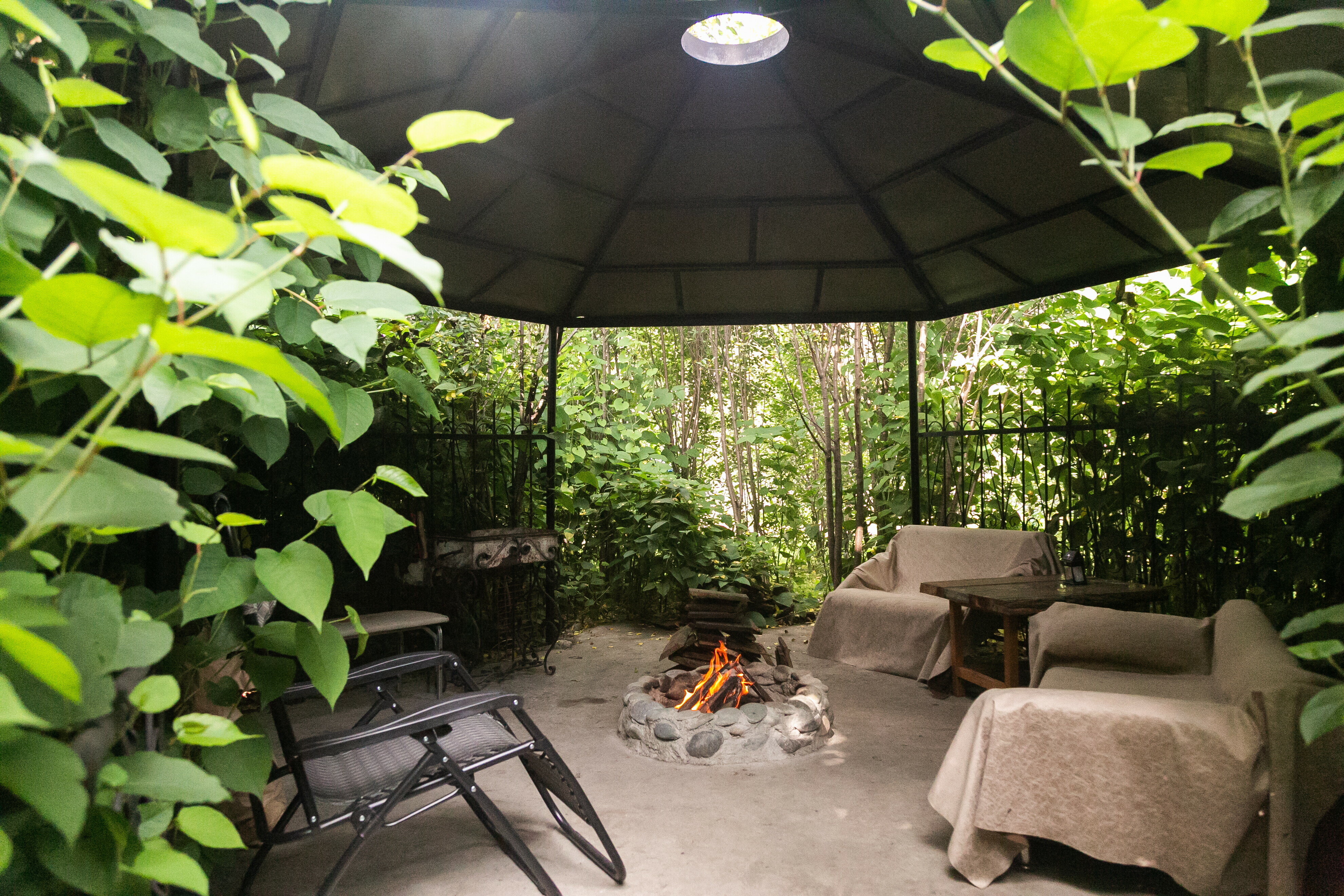 Фото Орешек