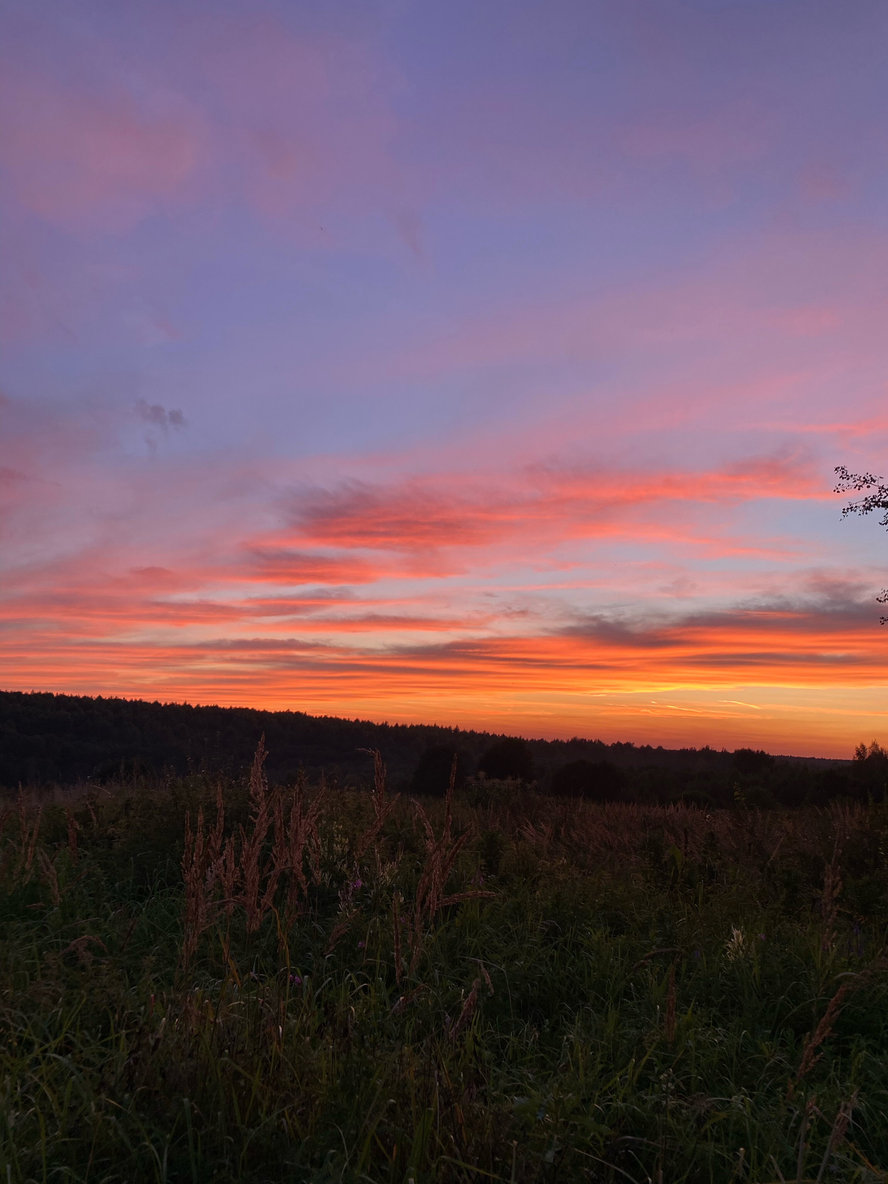 Фото Рулёвка
