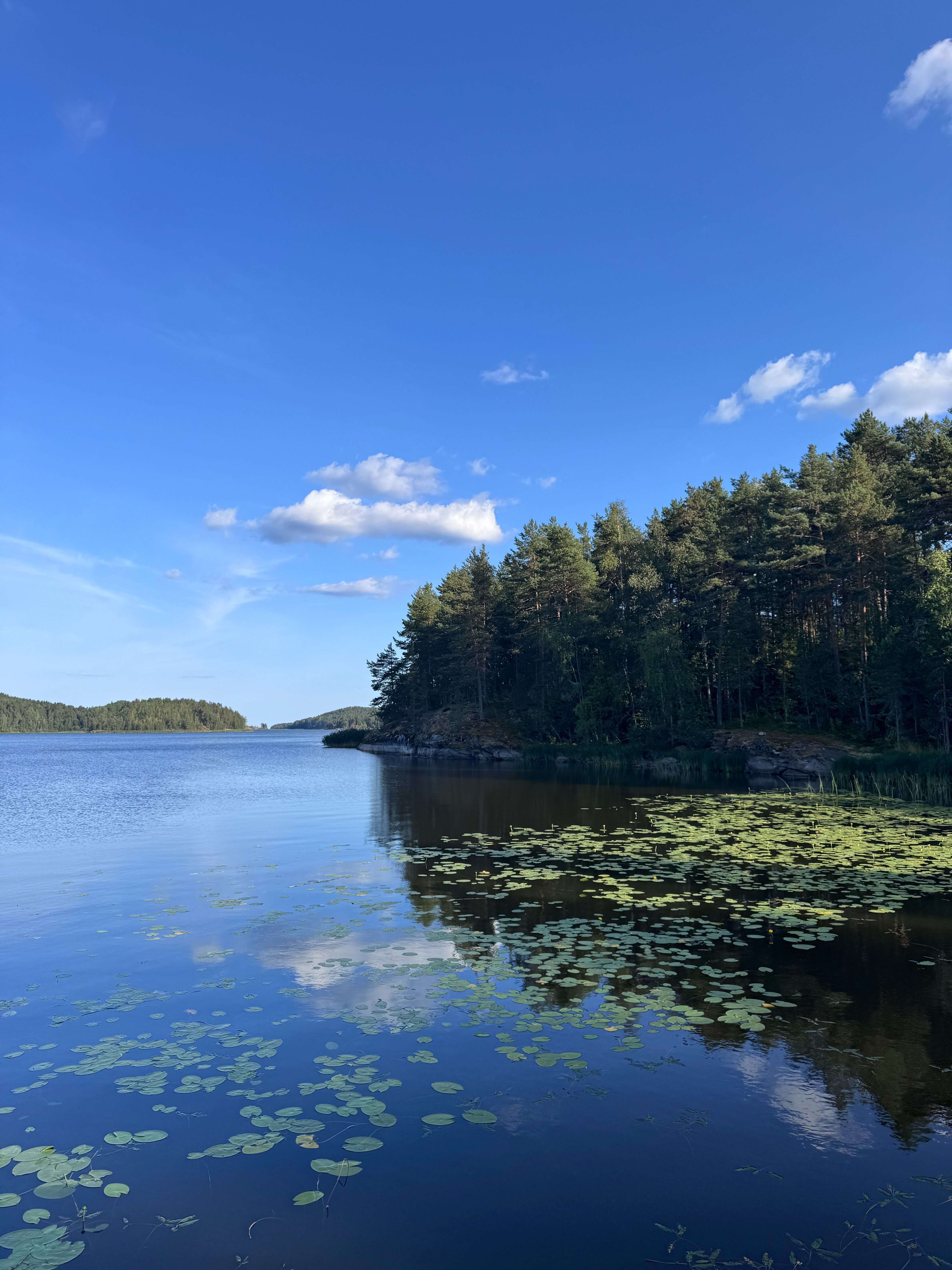 Фото Залив Души