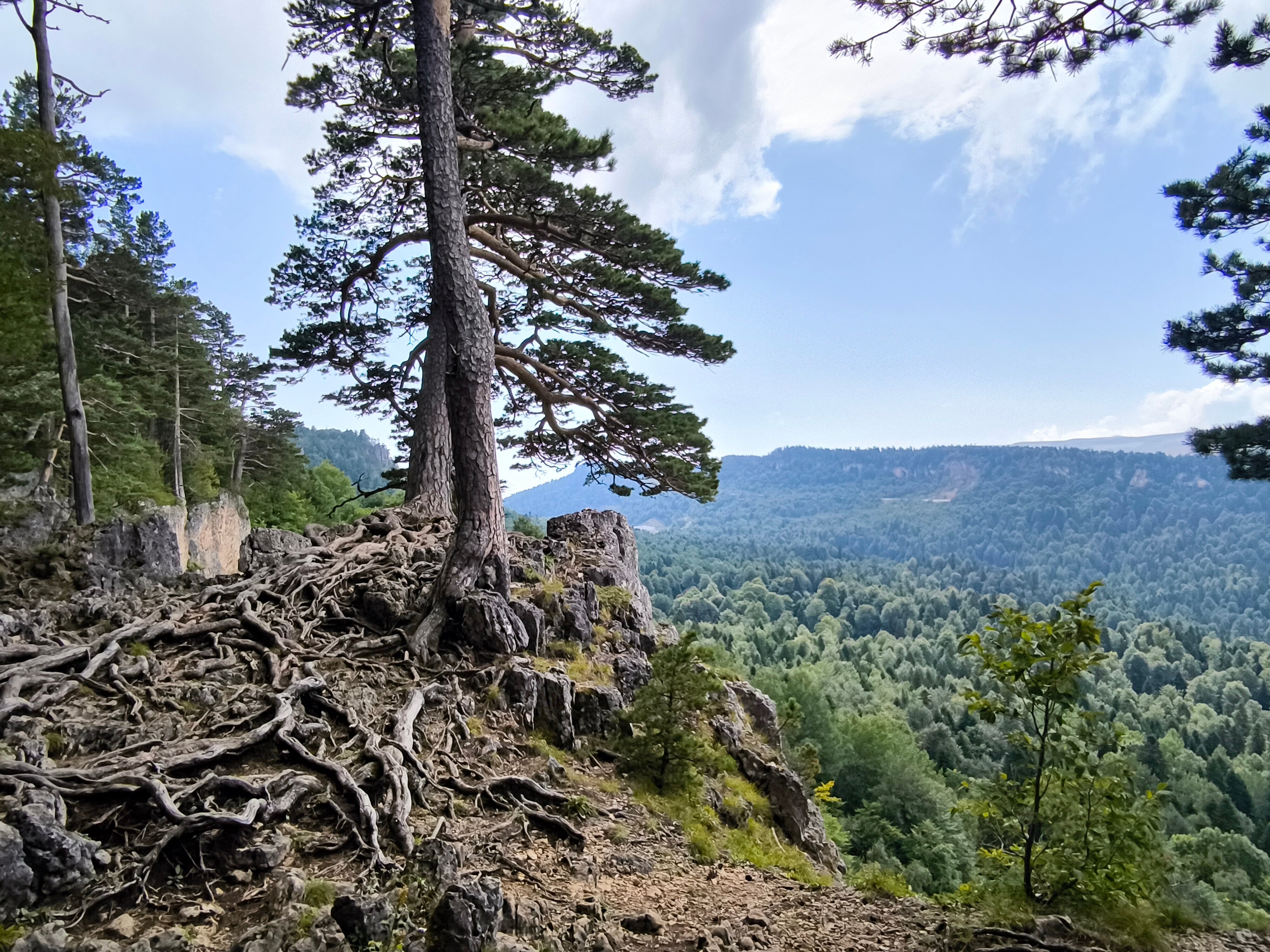 Фото Два брата