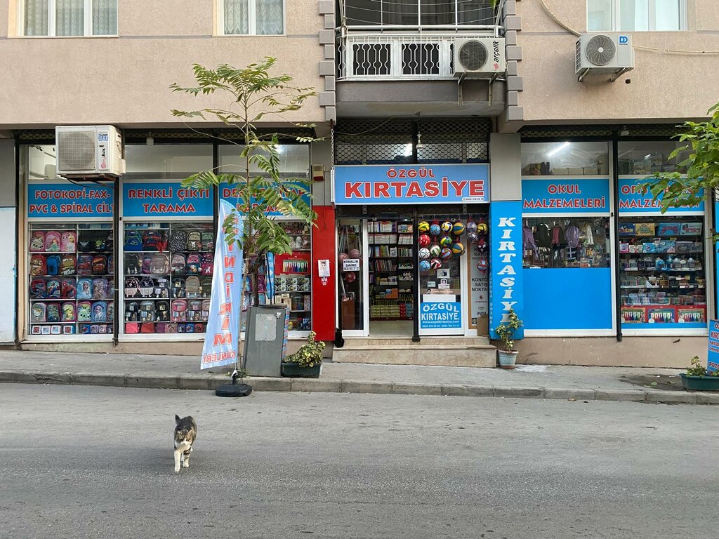 Stationery store Özgül Kırtasiye, Izmir, photo
