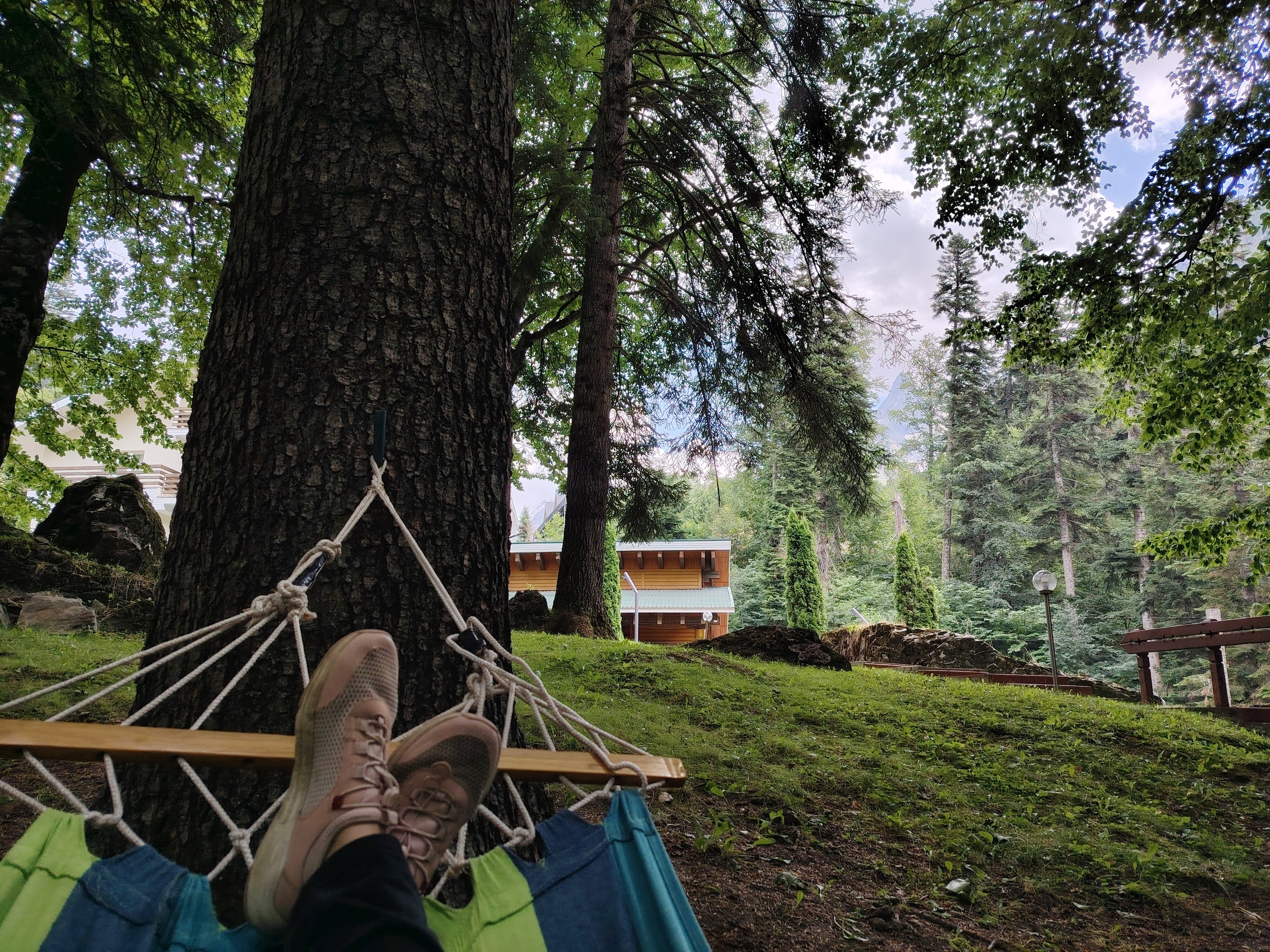 Фото Белалакая