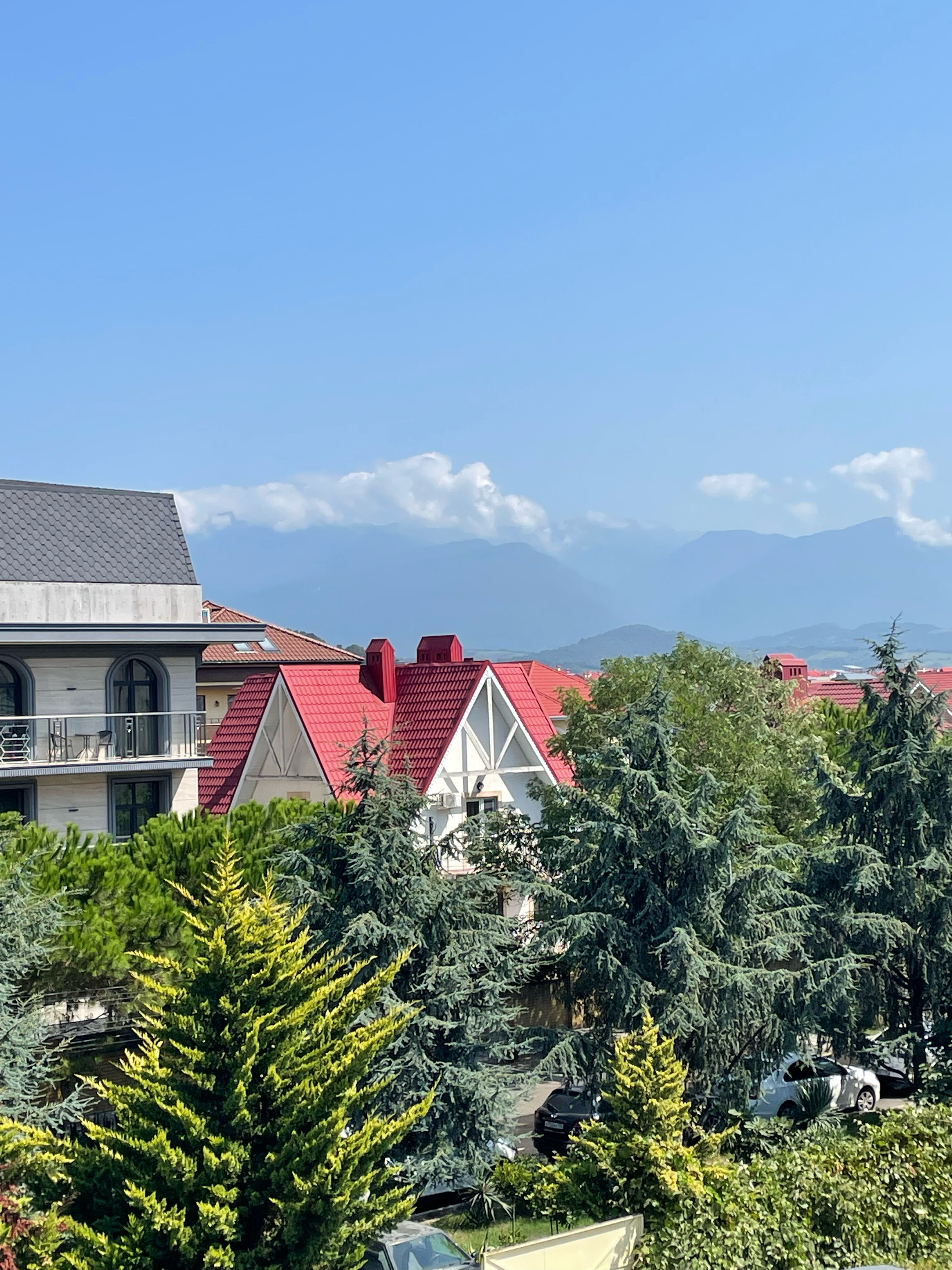 Фото Колибри